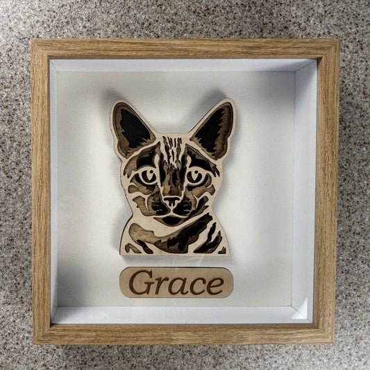 Personalized Wood Cat Wall Art Shadow Box