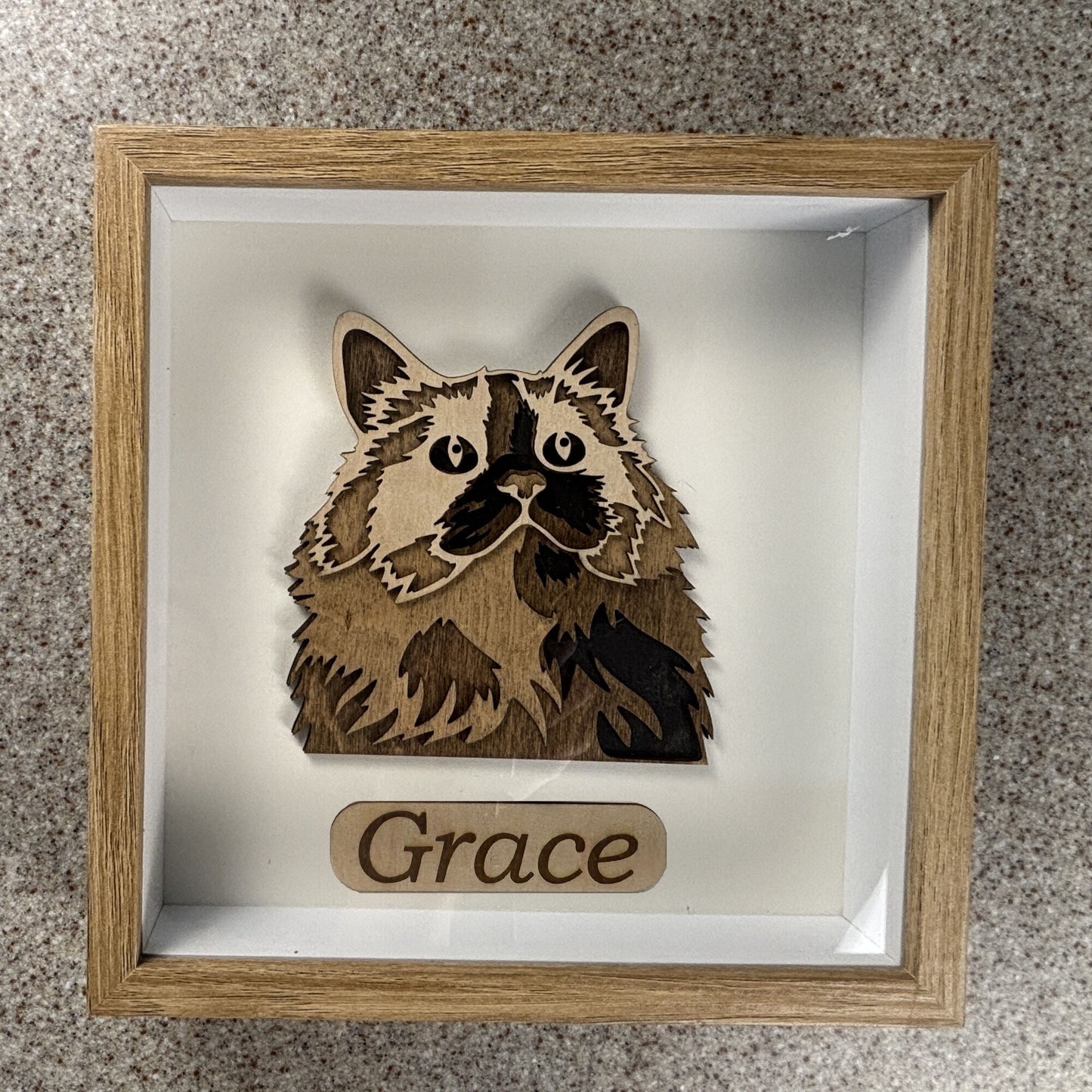 Personalized Wood Cat Wall Art Shadow Box
